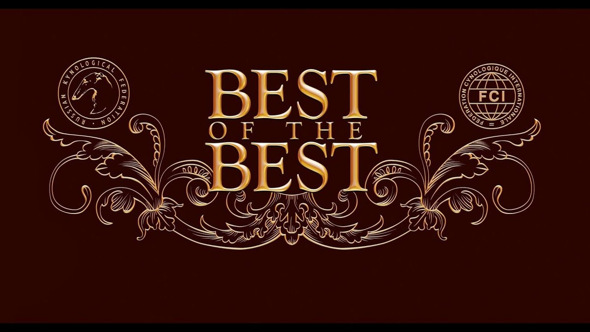 Finding the Best Plumber in Long Island City for Quality Service